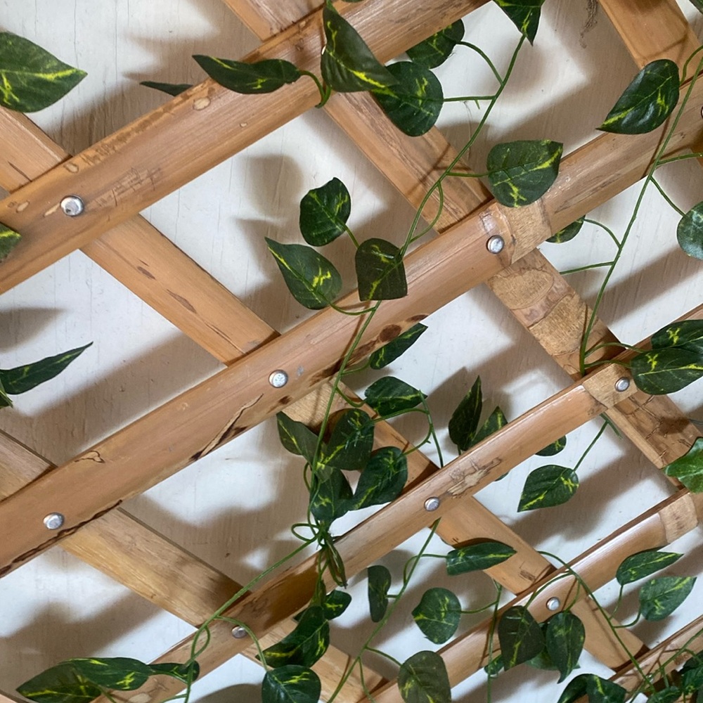 Meet your Posher, Auro